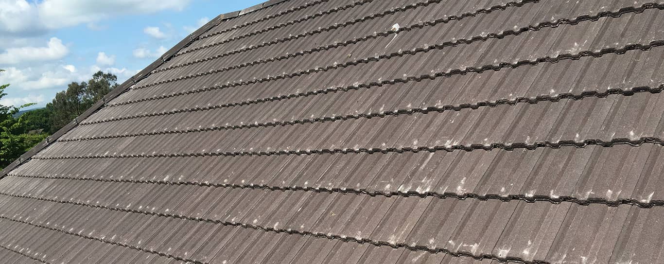 Roof repairs Exeter